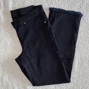 HUE Black Pants